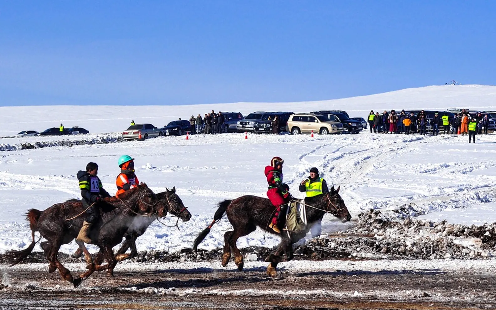 Horse race, finish line and winter